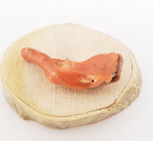 Load image into Gallery viewer, Antique Berber Red Coral Branch Bead: Morocco Ethnic Jewelry (20gr)