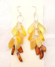 Load image into Gallery viewer, Baltic Amber Dangle Earrings: 925 Silver Gemstone Beads