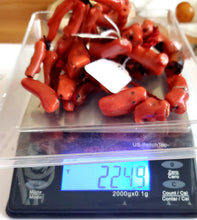 Load image into Gallery viewer, Antique Berber Natural Branch tow strand Red Coral Beads Morocco 225 gr,Hand Crafted ,Red Coral Necklace,Ethnic Coral ,Tribal Jewelry
